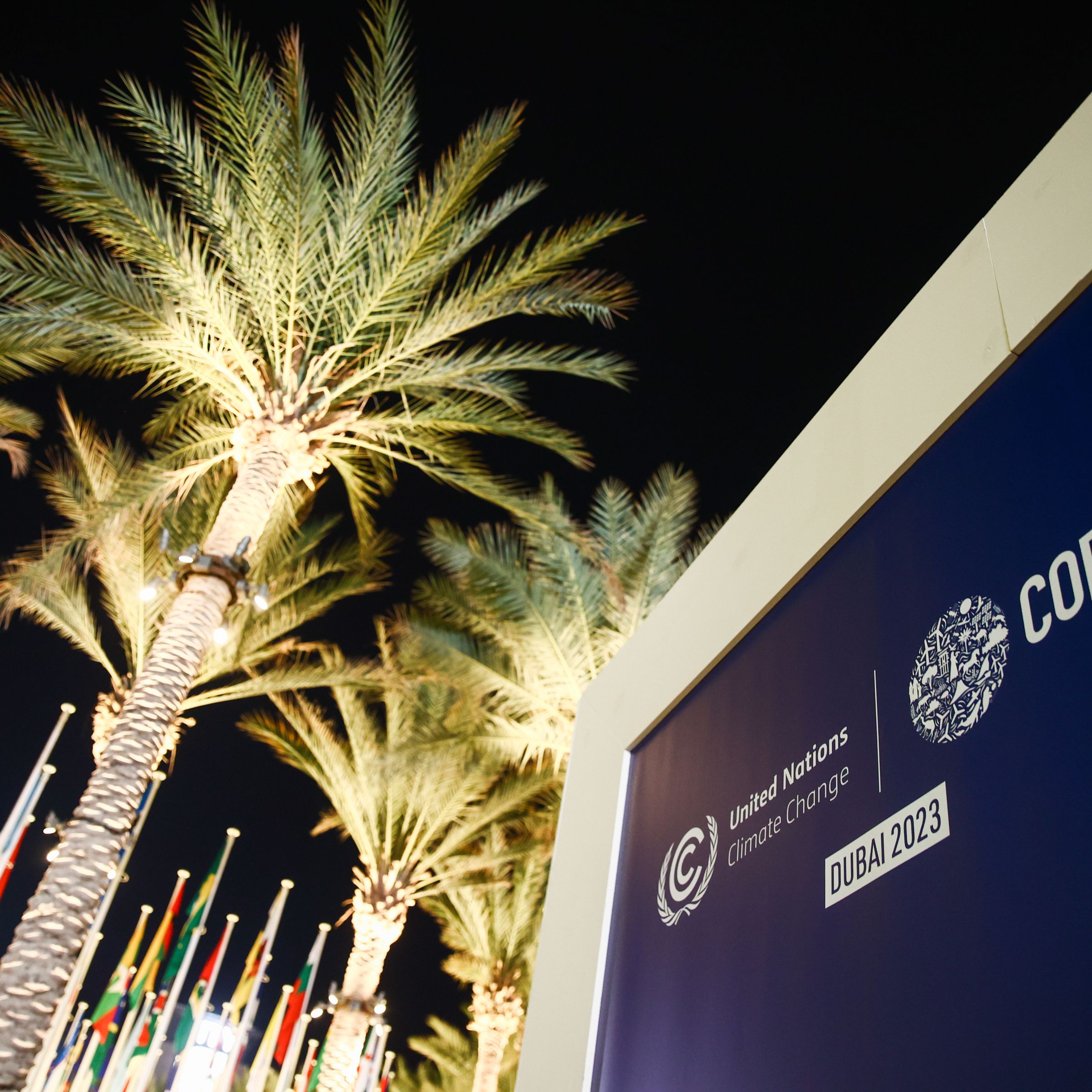 Palm trees and flags standing next to a sign with the COP28 logo