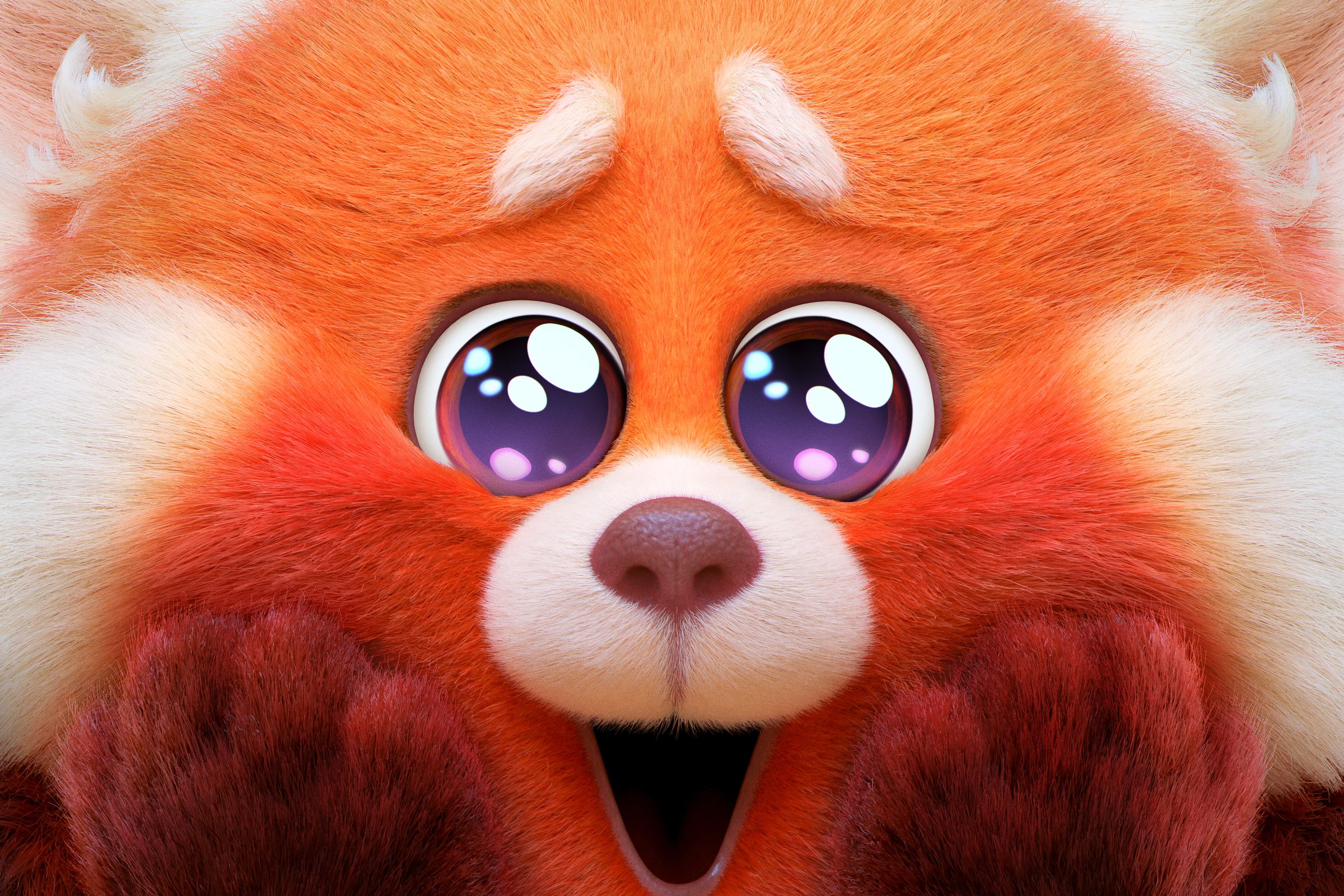 A close up shot of an anthropomorphic red panda standing on its hind legs, and squishing its face together with its paws as it expresses excitement about something it’s looking at.